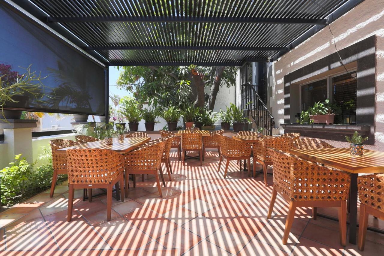 Hotel Posada Terranova San Jose del Cabo Bagian luar foto
